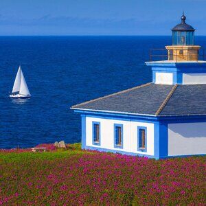 Meet your Posher, Vitaliy